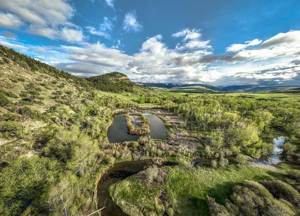 40 A Susie Creek Road, Mcleod, MT 59052 photo 58