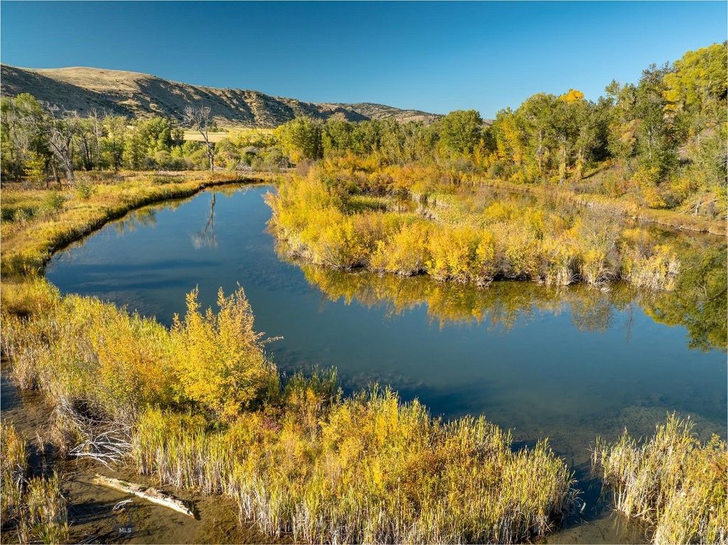 40 A Susie Creek Road, Mcleod, MT 59052 photo 6