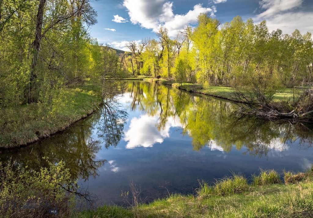 40 A Susie Creek Road, Mcleod, MT 59052 photo 64
