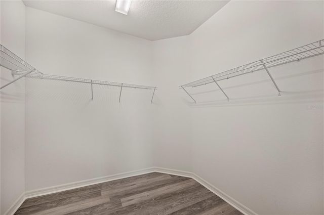 4303 MOON SHADOW LOOP, Mulberry, FL 33860