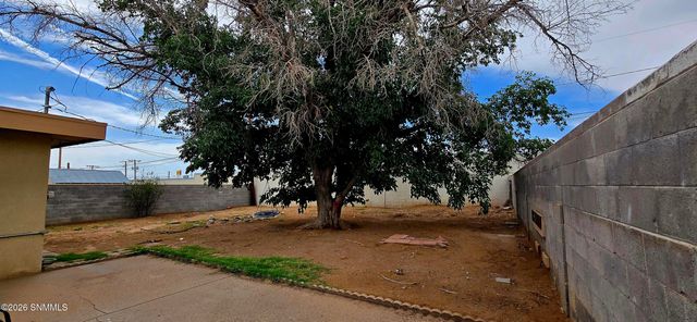 1313 Branson Avenue, Las Cruces, NM 88001