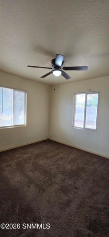 1313 Branson Avenue, Las Cruces, NM 88001