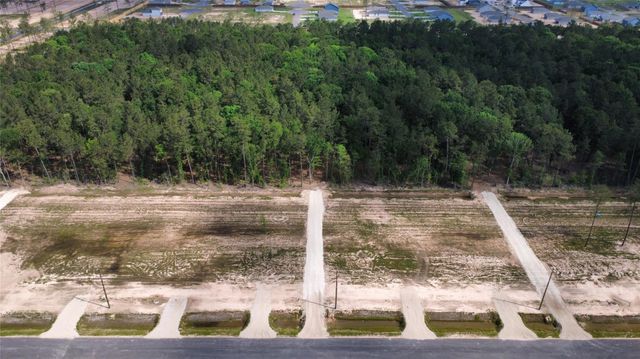18341 Bunsen Drive, Conroe, TX 77306