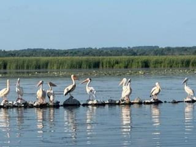 W6182 Lakeview Drive, Markesan, WI 53946