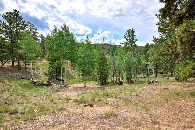 549 Mohawk Heights, Florissant, CO 80816