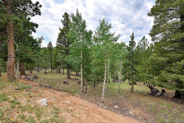 549 Mohawk Heights, Florissant, CO 80816
