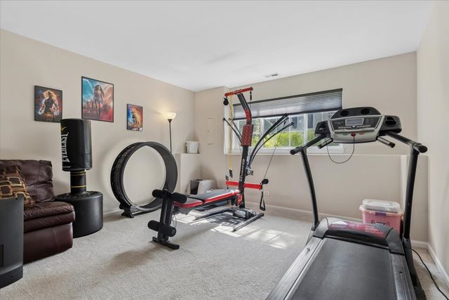 1333 NEW HAVEN Drive 1333, Cary, IL 60013