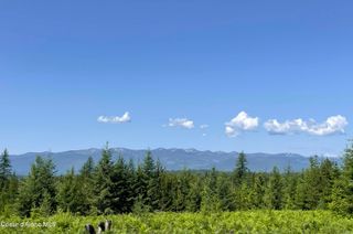 601 Coyote Trail, Sandpoint, ID 83864