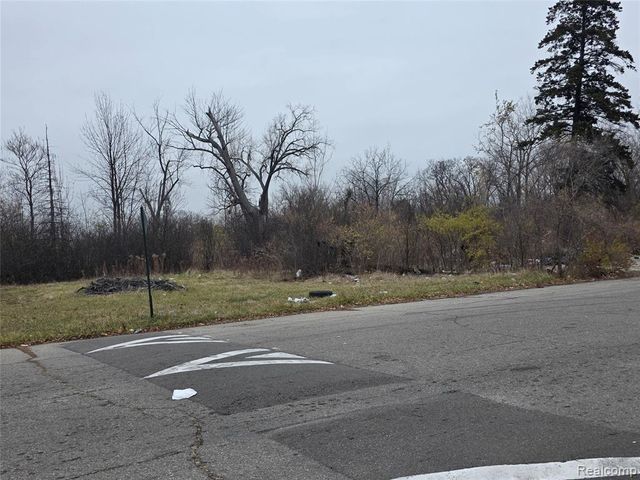 19628 Danbury Street, Highland Park, MI 48203