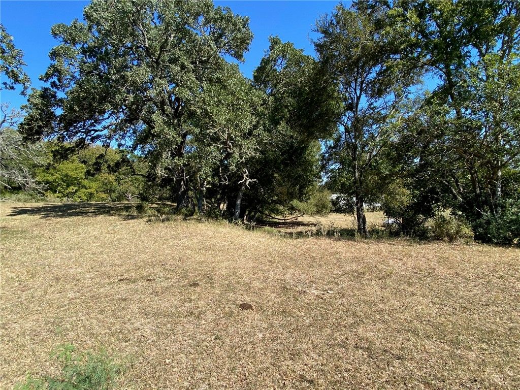 0 SH 36 N, Brenham, TX 77833 — photo 2