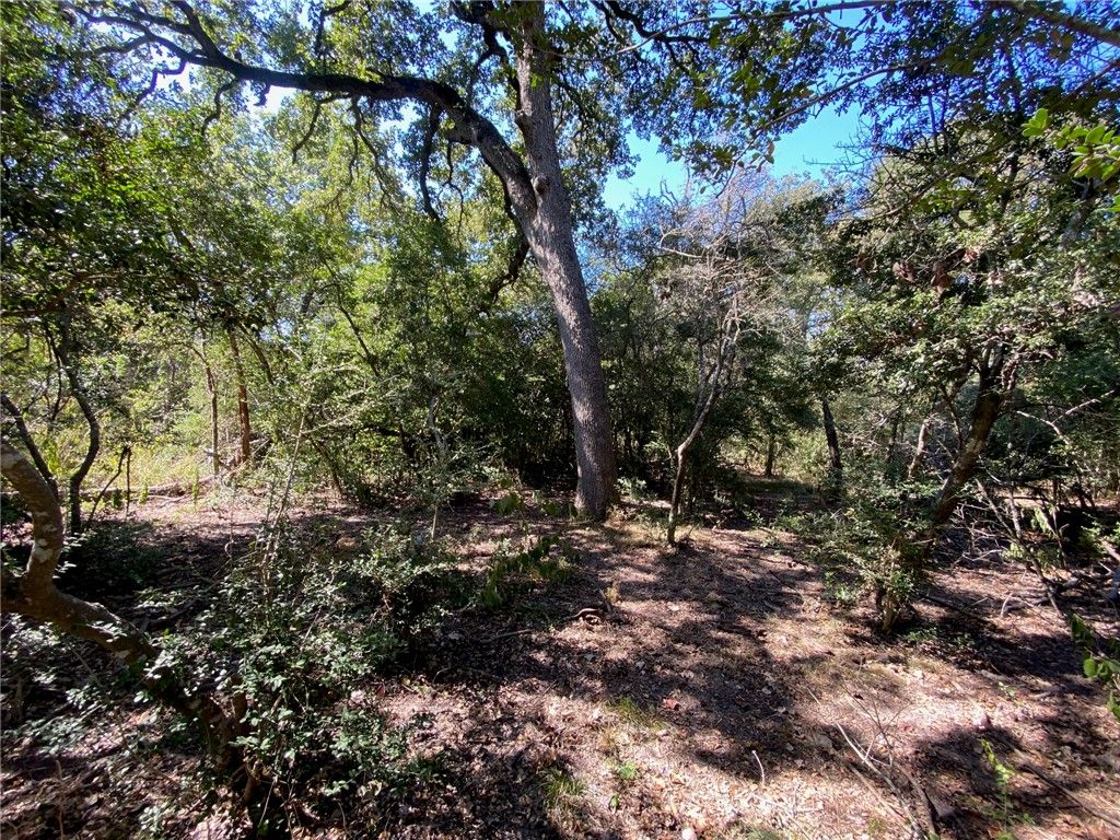 0 SH 36 N, Brenham, TX 77833 — photo 5