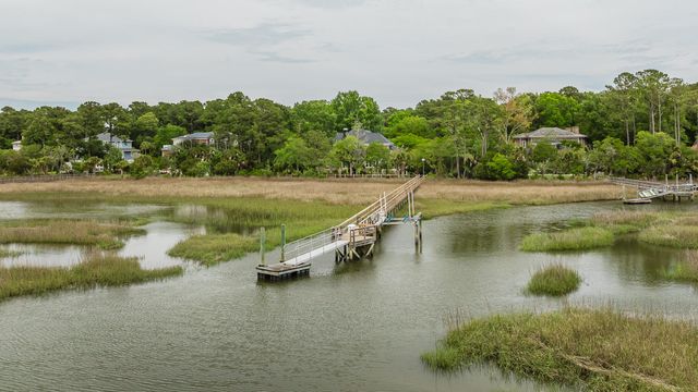 3158 Pignatelli Crescent, Mount Pleasant, SC 29466