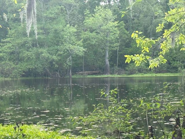 LOT-138 Amite River Rd, Baton Rouge, LA 70817