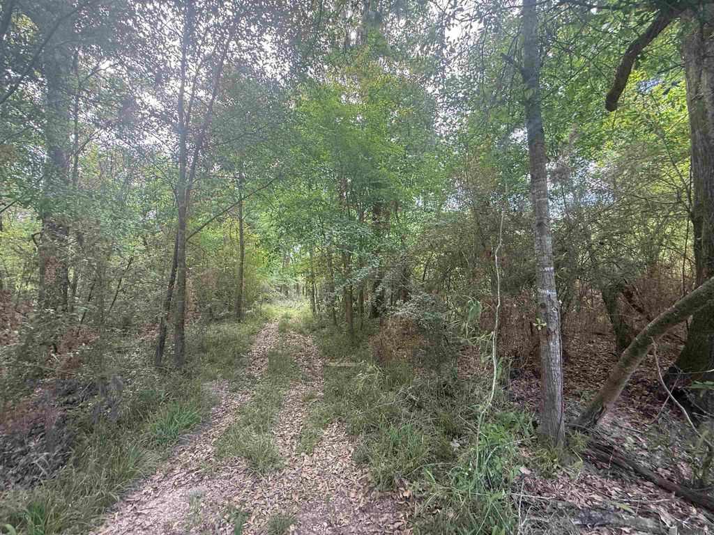LOT-138 Amite River Rd, Baton Rouge, LA 70817