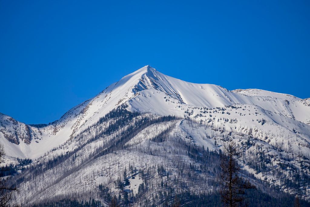 NHN Stoner Lake Road, Condon, MT 59826 photo 10