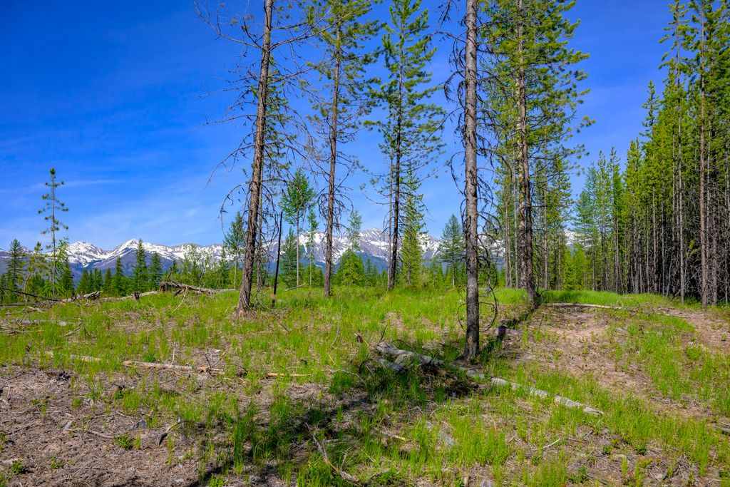 NHN Stoner Lake Road, Condon, MT 59826 photo 11