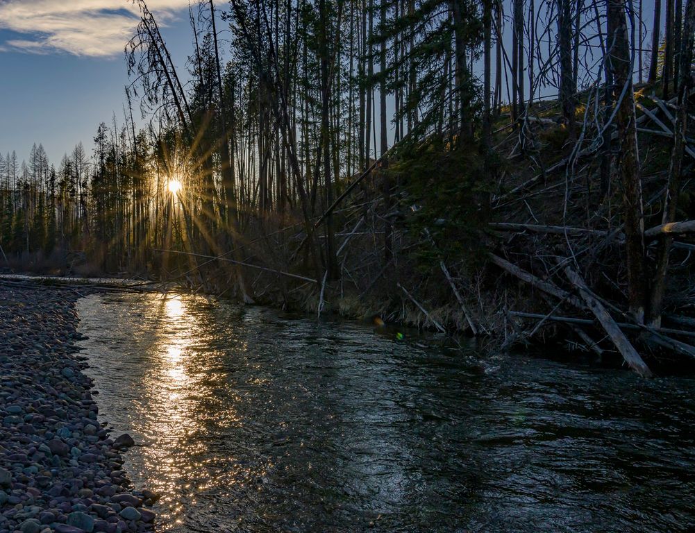 NHN Stoner Lake Road, Condon, MT 59826 photo 12