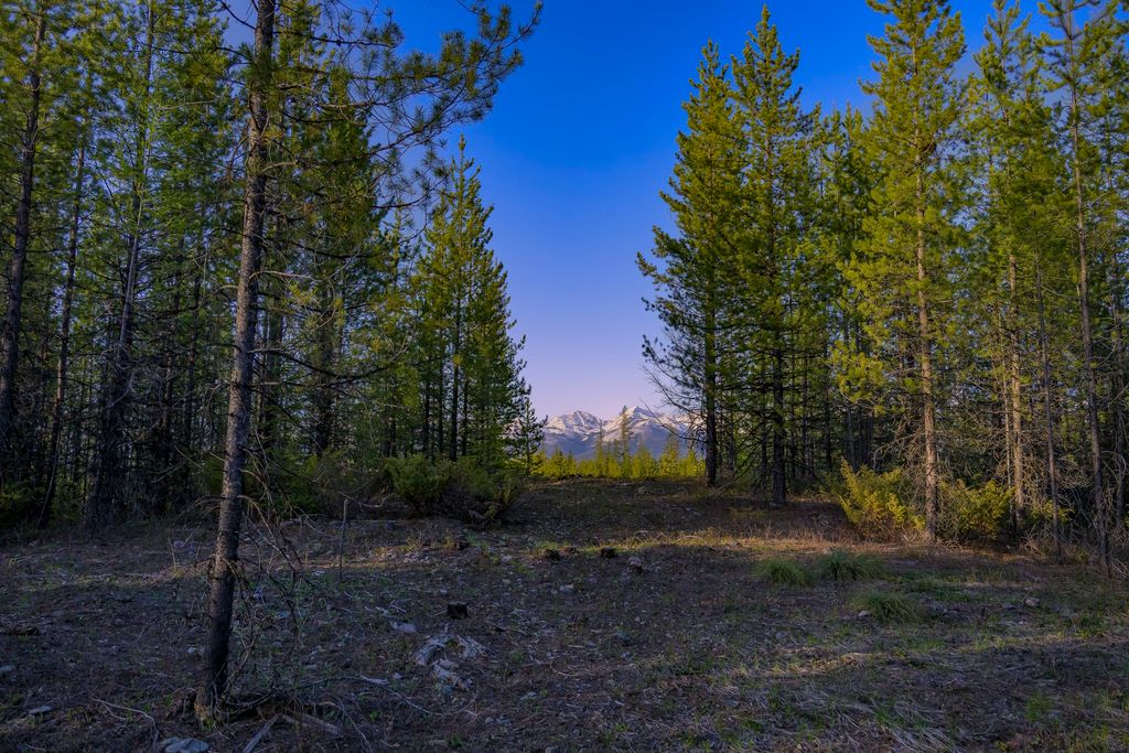 NHN Stoner Lake Road, Condon, MT 59826 photo 13