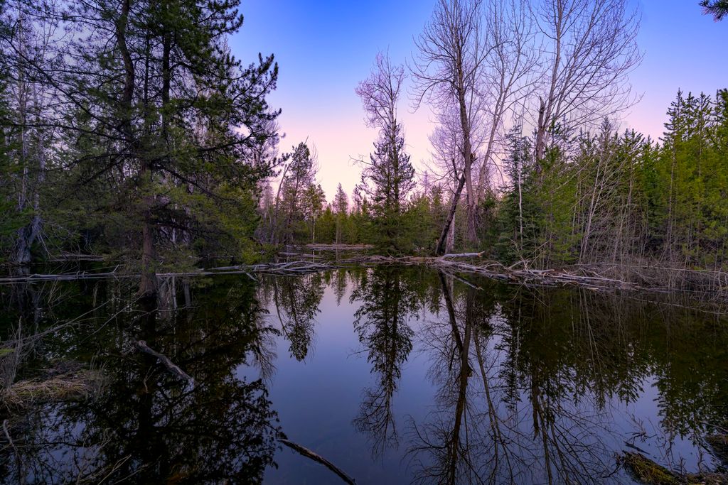 NHN Stoner Lake Road, Condon, MT 59826 photo 14