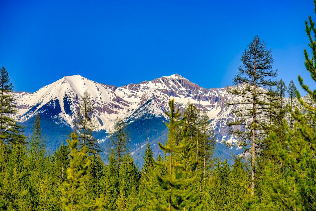 NHN Stoner Lake Road, Condon, MT 59826 photo 15