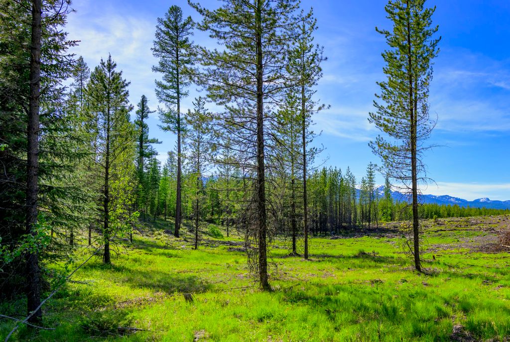 NHN Stoner Lake Road, Condon, MT 59826 photo 16