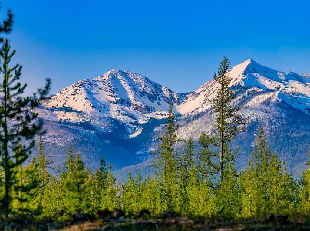 NHN Stoner Lake Road, Condon, MT 59826 photo 17