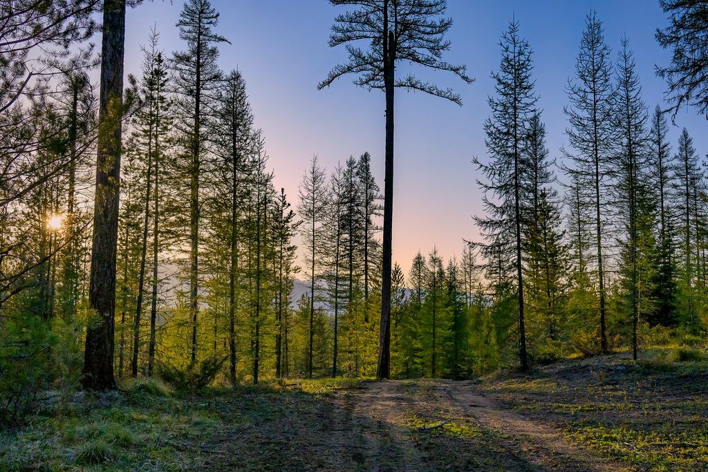 NHN Stoner Lake Road, Condon, MT 59826 photo 19