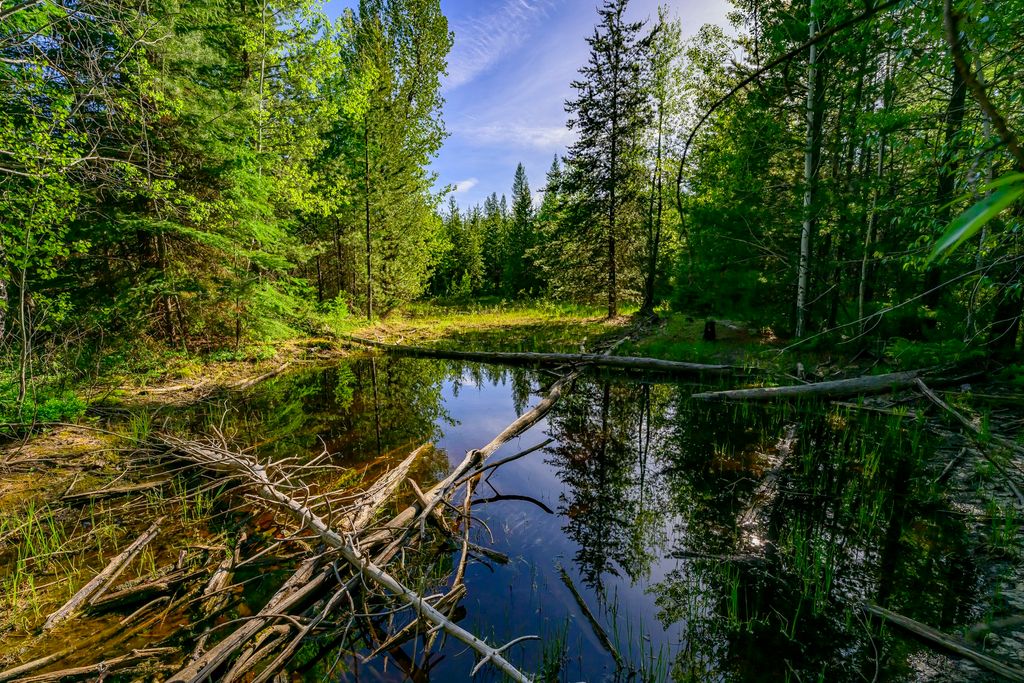 NHN Stoner Lake Road, Condon, MT 59826 photo 20
