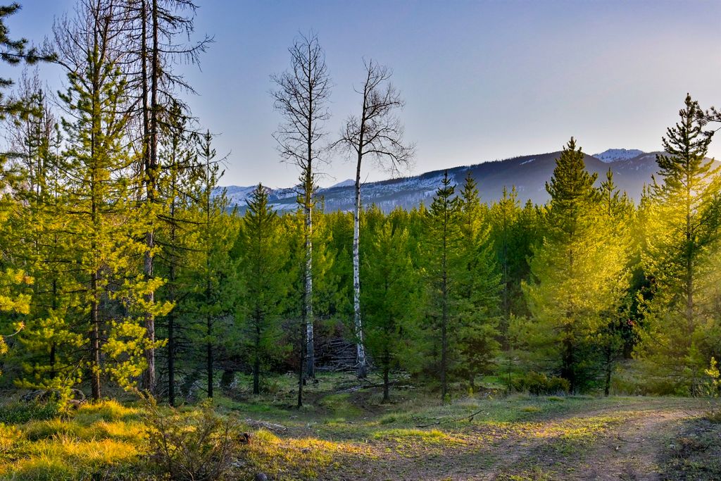 NHN Stoner Lake Road, Condon, MT 59826 photo 22