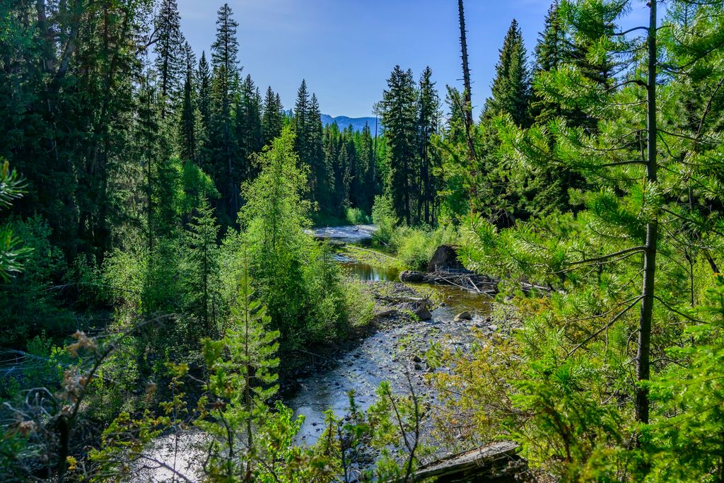 NHN Stoner Lake Road, Condon, MT 59826 photo 23