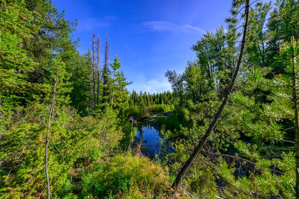 NHN Stoner Lake Road, Condon, MT 59826 photo 25