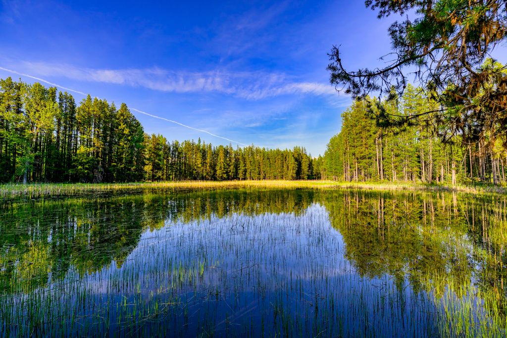 NHN Stoner Lake Road, Condon, MT 59826 photo 27