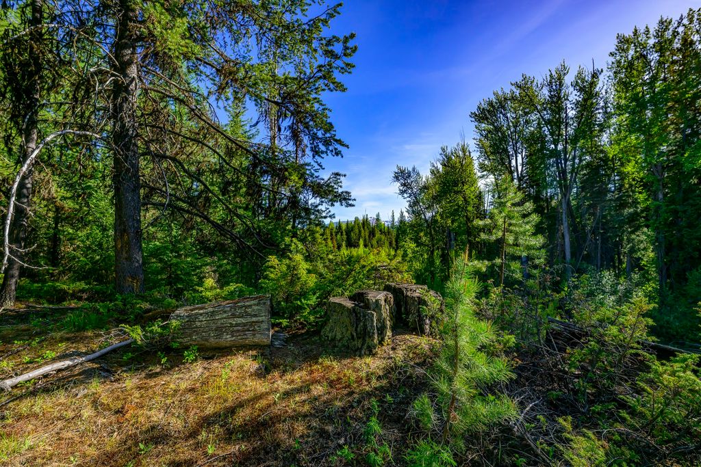 NHN Stoner Lake Road, Condon, MT 59826 photo 28