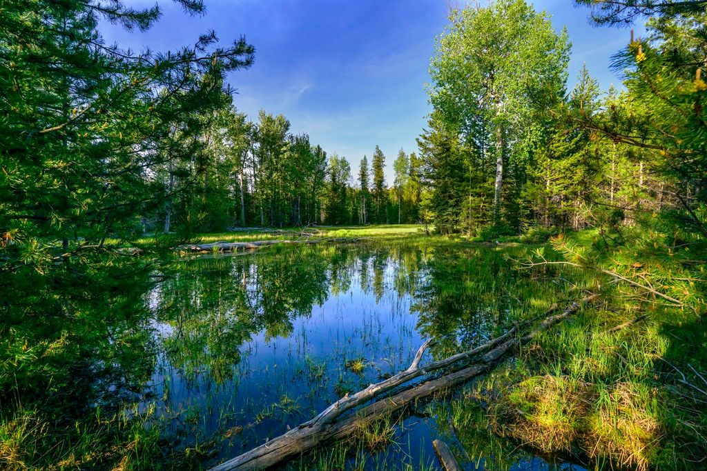 NHN Stoner Lake Road, Condon, MT 59826 photo 29