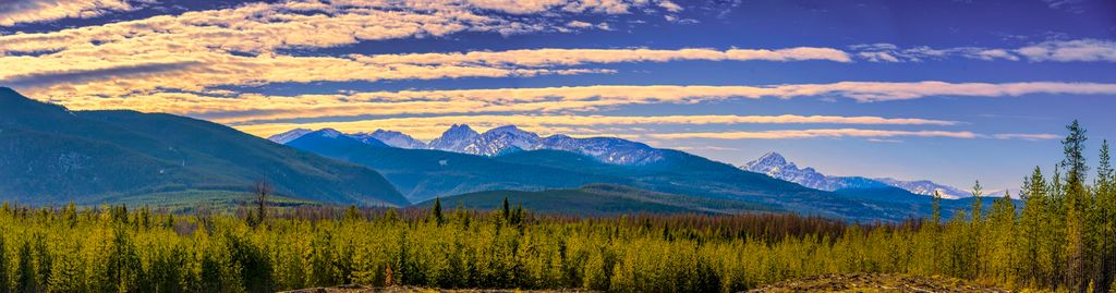 NHN Stoner Lake Road, Condon, MT 59826 photo 3