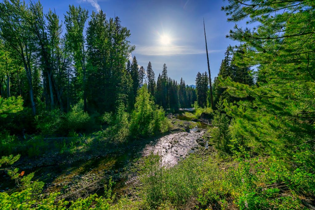 NHN Stoner Lake Road, Condon, MT 59826 photo 30