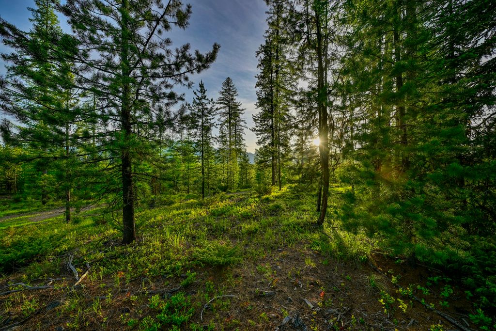 NHN Stoner Lake Road, Condon, MT 59826 photo 31