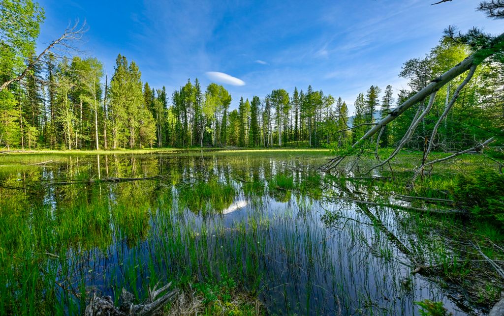 NHN Stoner Lake Road, Condon, MT 59826 photo 32