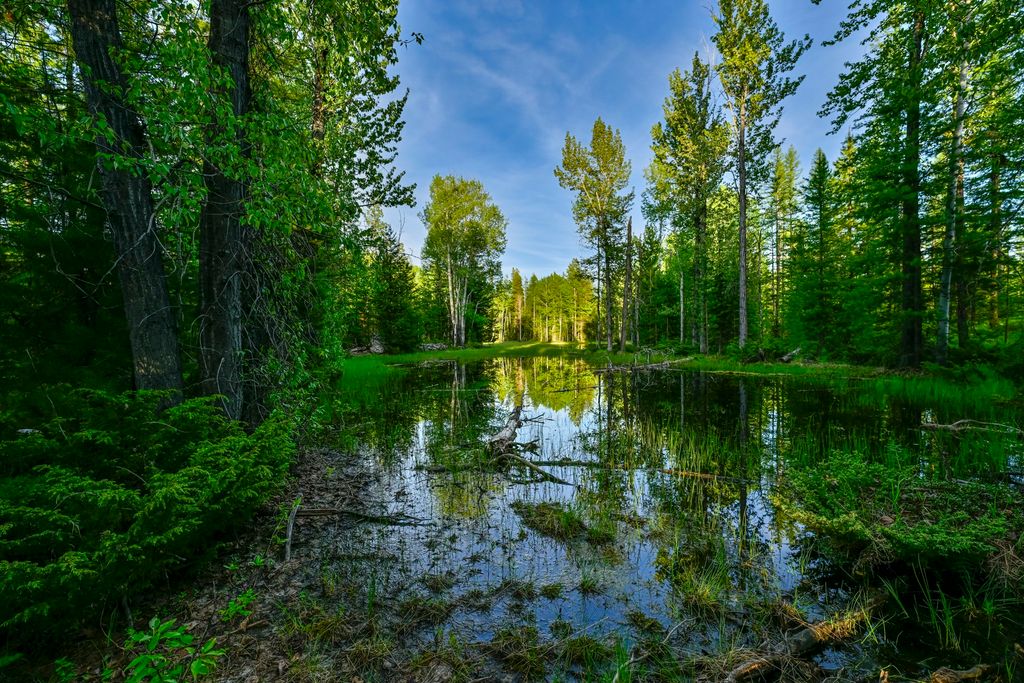 NHN Stoner Lake Road, Condon, MT 59826 photo 34