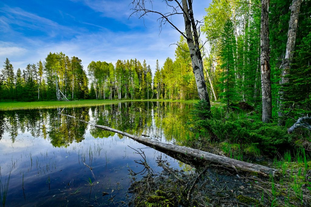 NHN Stoner Lake Road, Condon, MT 59826 photo 35