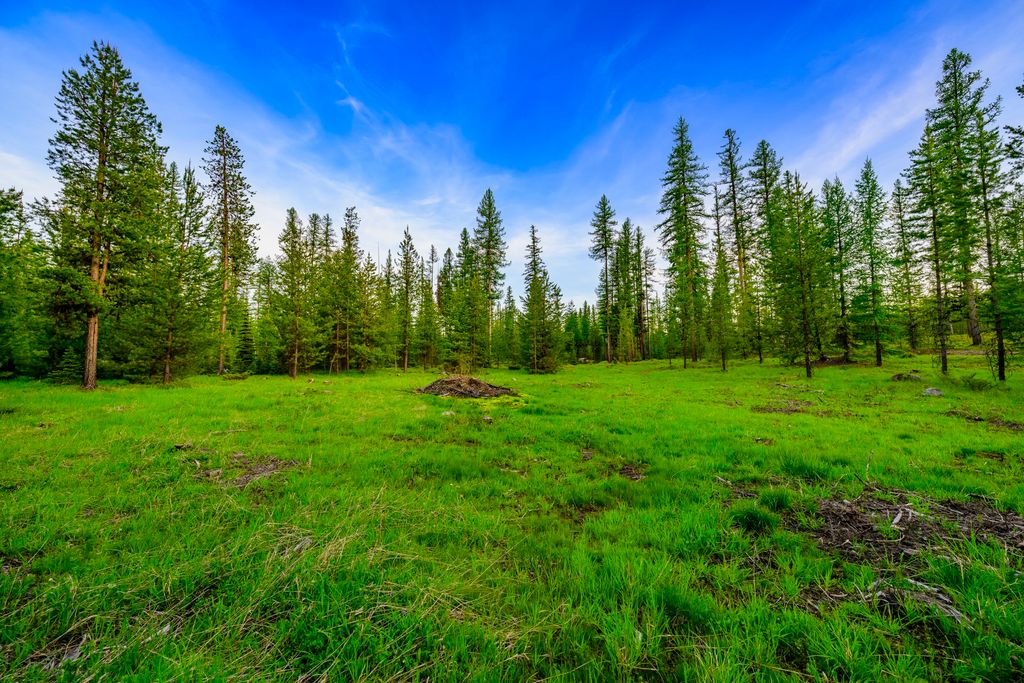 NHN Stoner Lake Road, Condon, MT 59826 photo 39