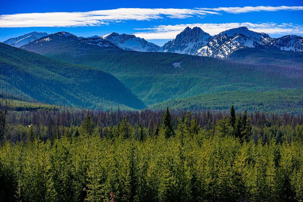 NHN Stoner Lake Road, Condon, MT 59826 photo 4