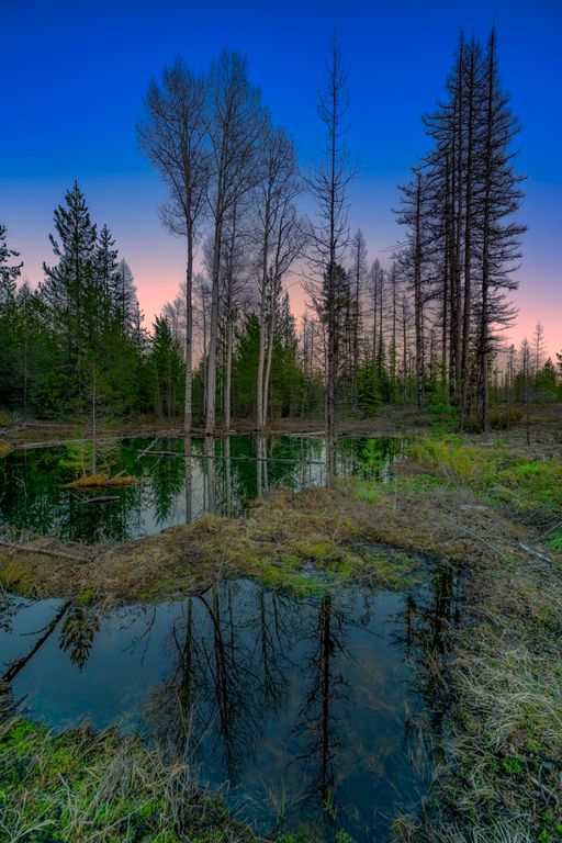 NHN Stoner Lake Road, Condon, MT 59826 photo 40