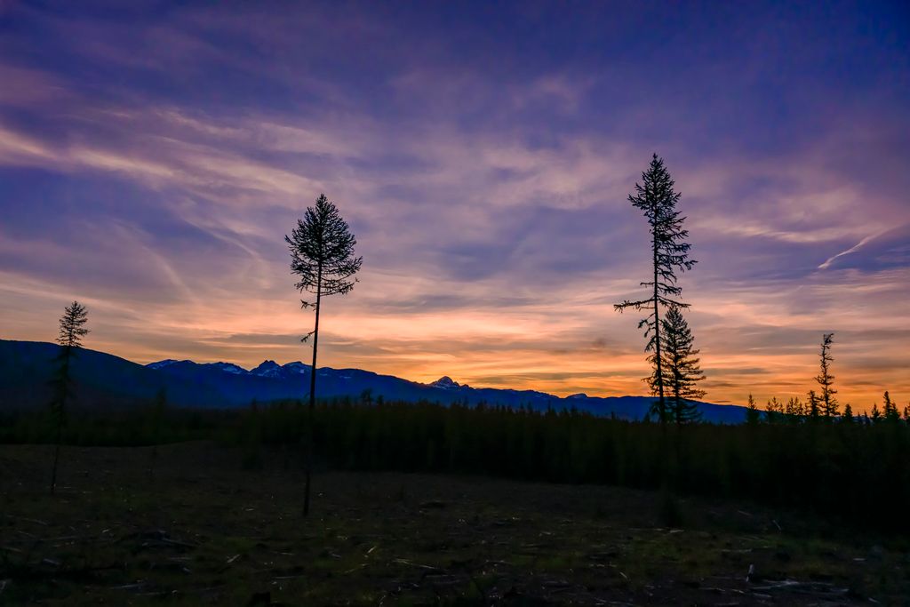 NHN Stoner Lake Road, Condon, MT 59826 photo 41