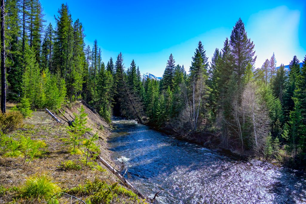 NHN Stoner Lake Road, Condon, MT 59826 photo 5