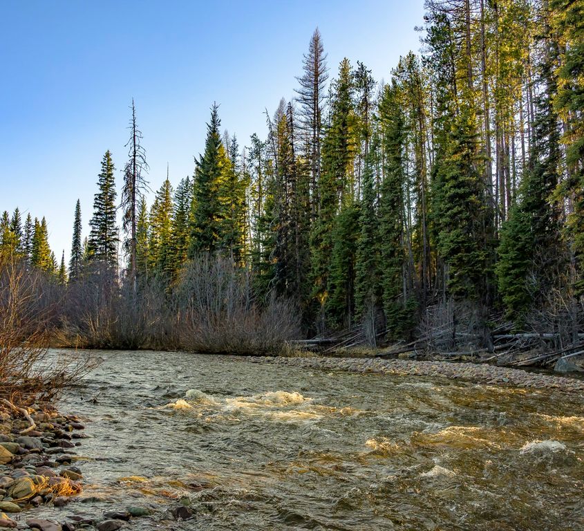 NHN Stoner Lake Road, Condon, MT 59826 photo 7