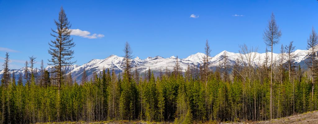 NHN Stoner Lake Road, Condon, MT 59826 photo 8