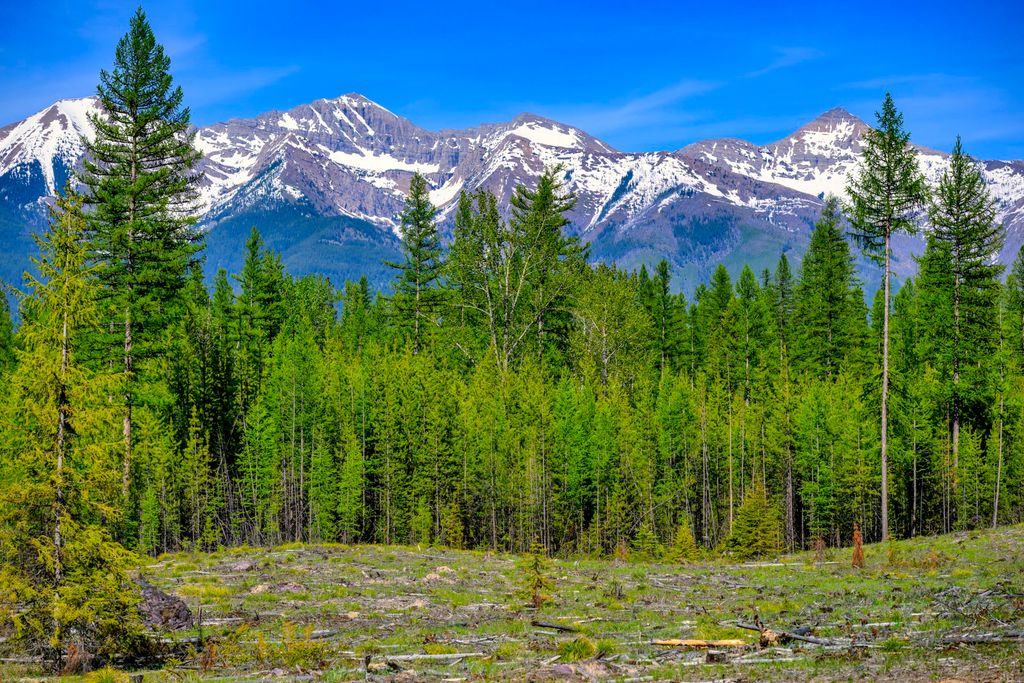 NHN Stoner Lake Road, Condon, MT 59826 photo 9