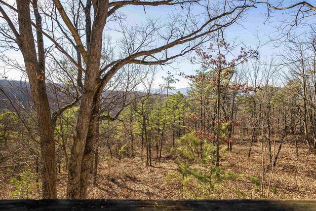 755 WILDWOOD LN, Shenandoah, VA 22849