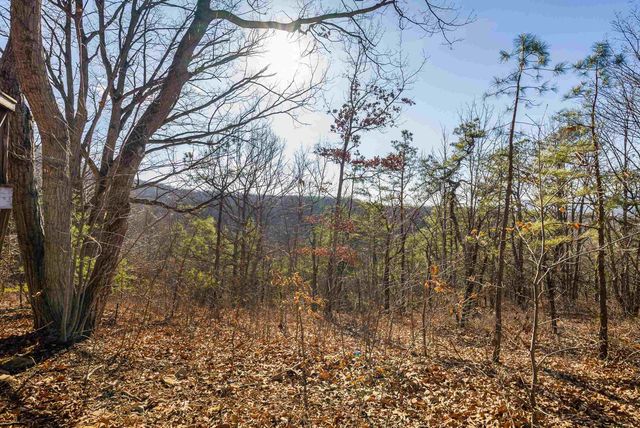 755 WILDWOOD LN, Shenandoah, VA 22849